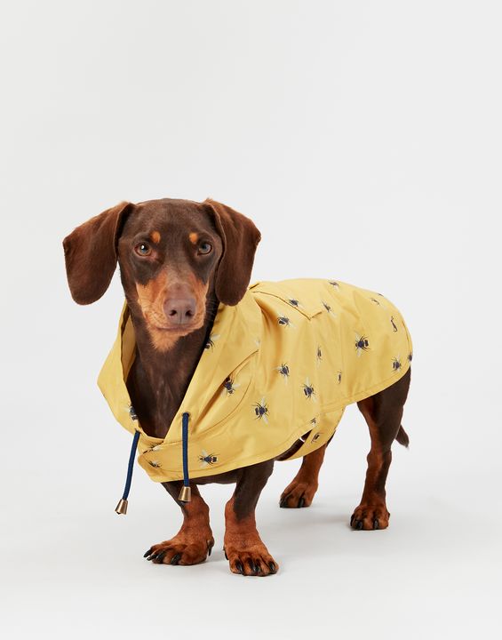 Joules Go Lightly Packaway Coat Small - Clearway Pets