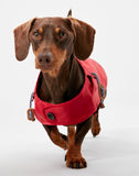 Joules Raincoat Raincoat Red Medium 45cm - Clearway Pets