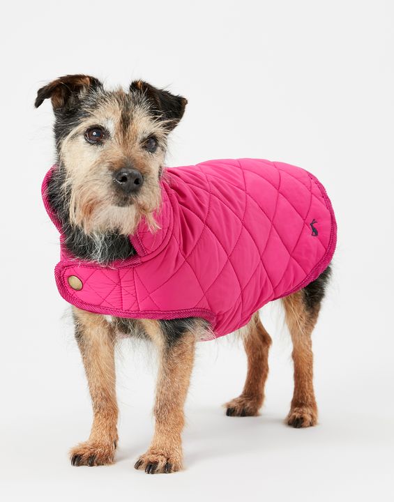 Joules Quilted Coat Raspberry XLrge 66cm - Clearway Pets