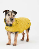 Joules Antique Gold Quilted Coat Medium - Clearway Pets