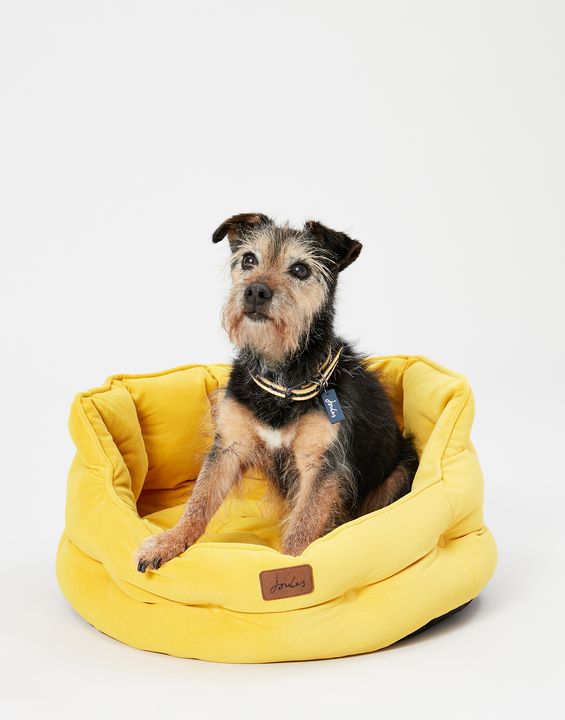JOULES CHESTERFIELD PET BED YELLOW SMALL - Clearway Pets