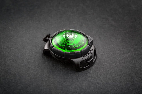 Orbiloc Dog Dual Safety Light Green