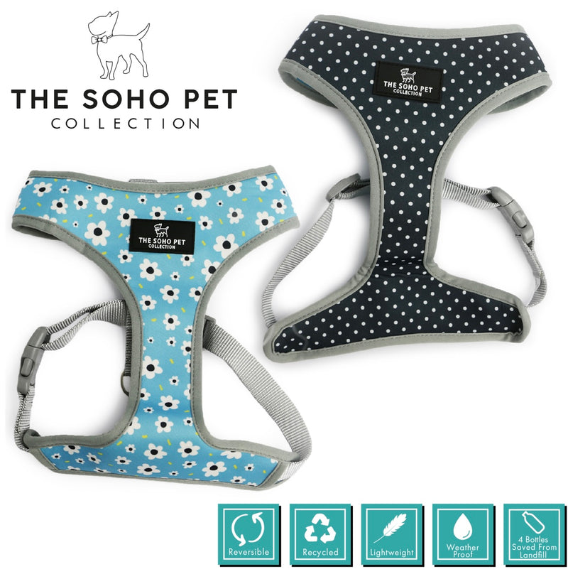 SOHO Daisy/Polka Dot Patterned Harness M