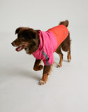 Joules Lydford Dog Coat Small
