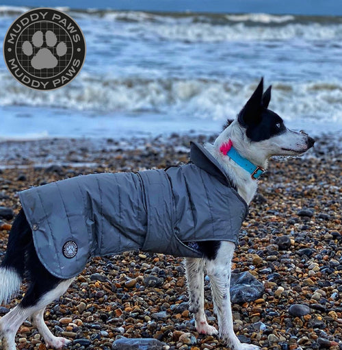 Ancol Ultimate Reflective Dog Coat M