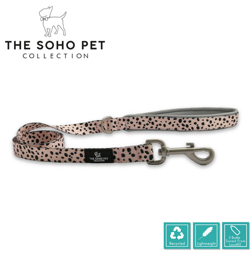 SOHO Dalmatian Patterned Lead