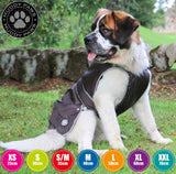 Ancol Stormguard Dog Coat Black M