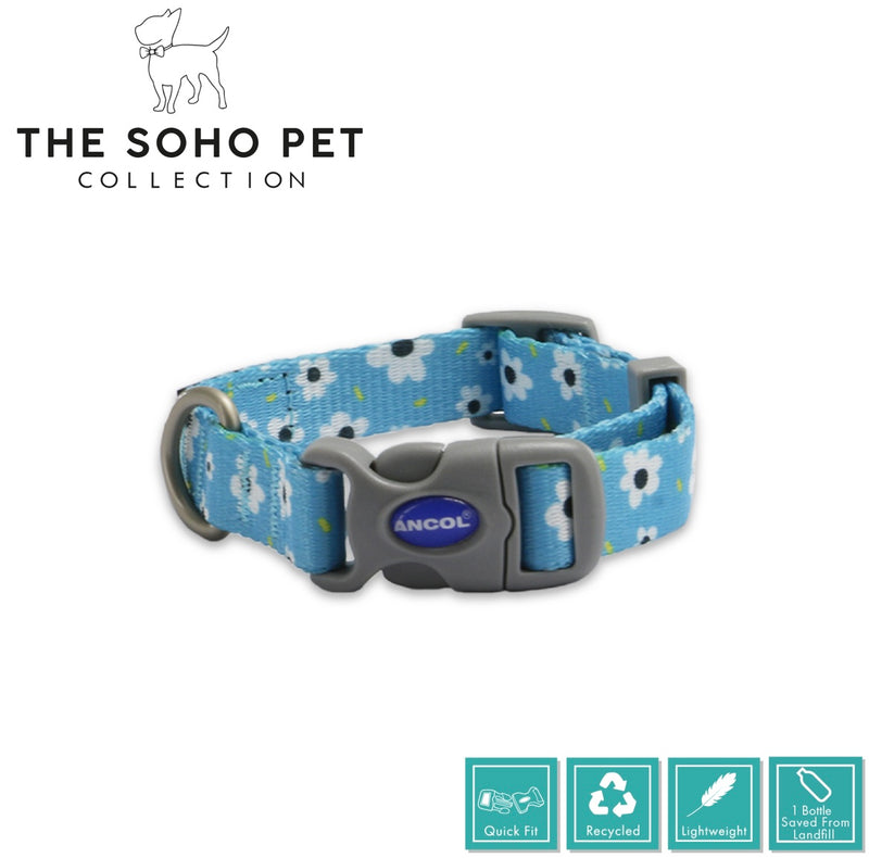 SOHO Daisy Patterned Collar Size 5-9