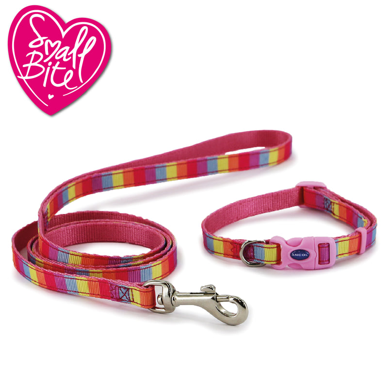 Ancol Rainbow Puppy Collar & Lead Set - Clearway Pets
