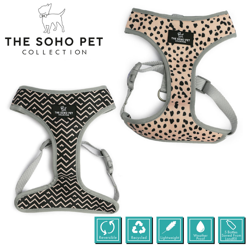 SOHO Dalmatian/Zig Patterned Harness M