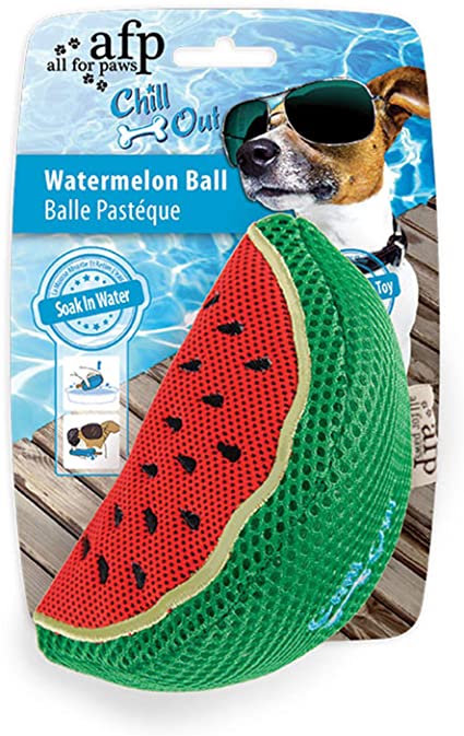All For Paws Chill Out Watermelon Slice - Clearway Pets