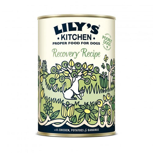 Lilys Kitchen Recovery Recipe 400g