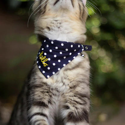 Joules Hello Neckerchief Cat Collars - Clearway Pets
